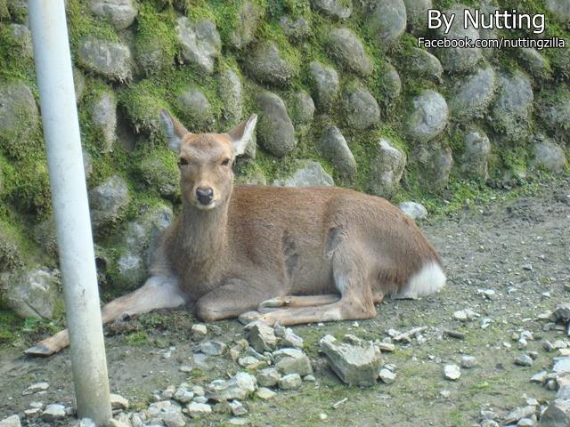 DSC04009.JPG